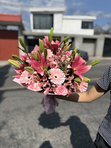 florerias en Tlaxcala baratas