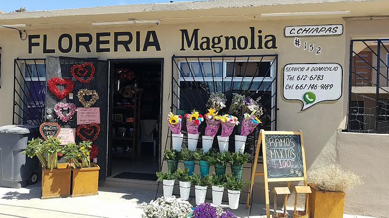florerias en Rosarito (Playas de Rosarito) baratas