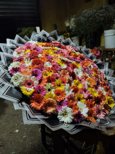 florerias en Aguascalientes baratas