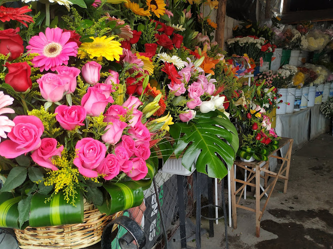 florerias en Tulancingo de Bravo baratas