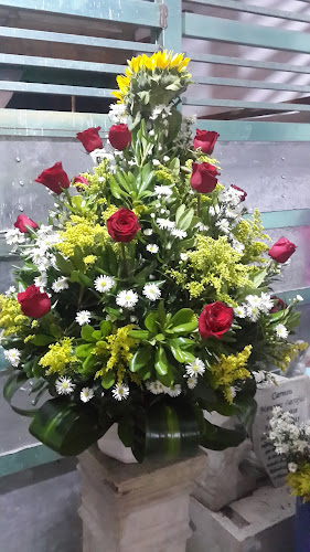florerias en Cárdenas baratas