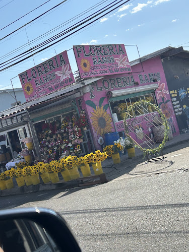 florerias en Rosarito (Playas de Rosarito) baratas
