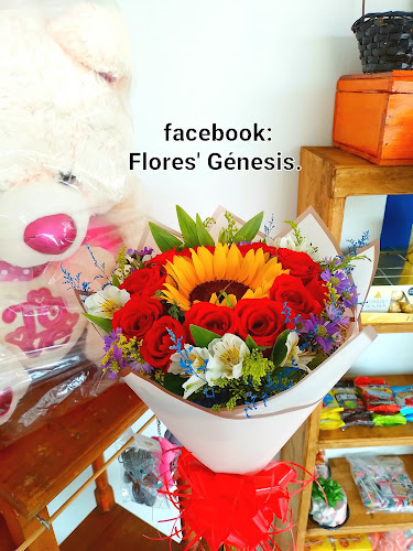 florerias en Coatzacoalcos baratas