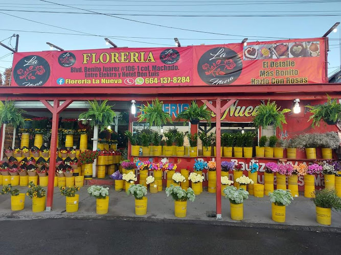 florerias en Rosarito (Playas de Rosarito) baratas