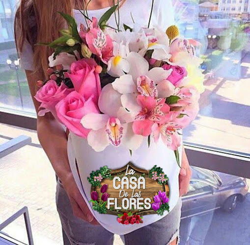 florerias en Tlaxcala baratas