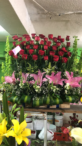 florerias en Parral baratas