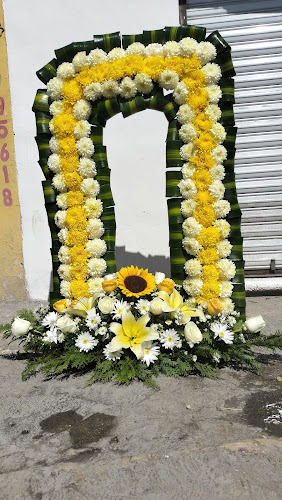 florerias en Kanasín baratas