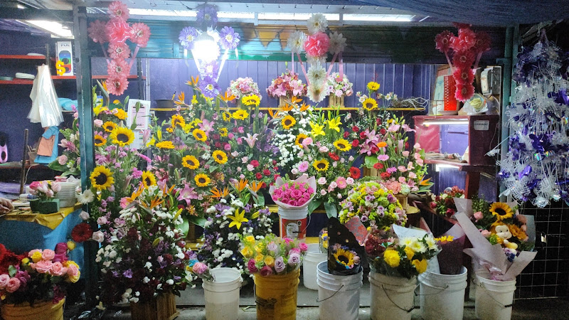 florerias en Milpa Alta baratas