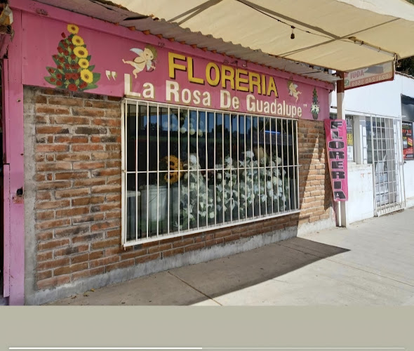 florerias en Cabo San Lucas baratas