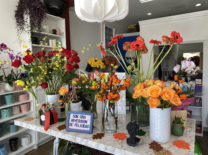 florerias en Metepec baratas