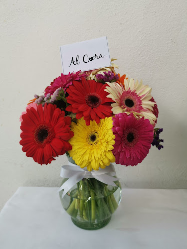 florerias en Aguascalientes baratas