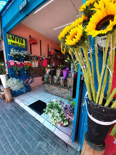 florerias en Tonalá baratas