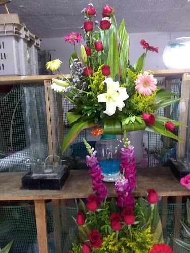 florerias en Tláhuac baratas