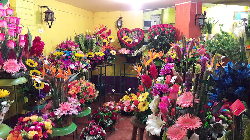florerias en Metepec baratas