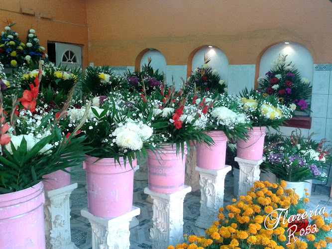 florerias en Tuxpan baratas