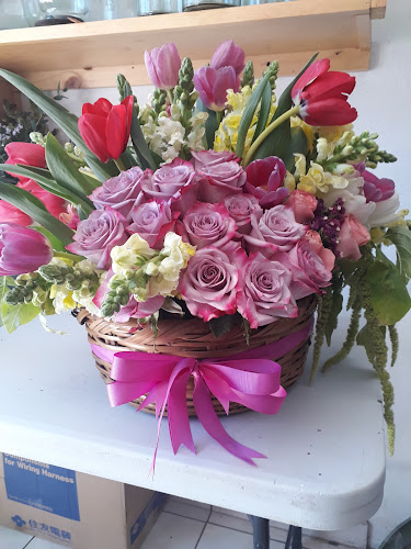 florerias en Lagos de Moreno baratas