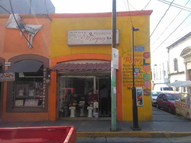 florerias en Tulancingo de Bravo baratas