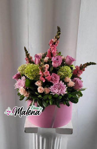 florerias en Morelia baratas