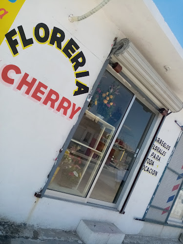 florerias en Cabo San Lucas baratas