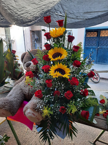 florerias en Lerdo baratas