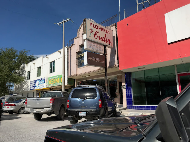 florerias en Río Bravo baratas
