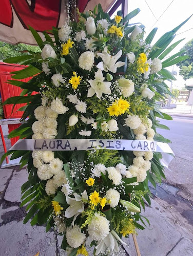florerias en Torreón baratas