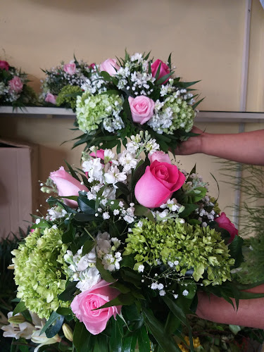 florerias en Acuña baratas