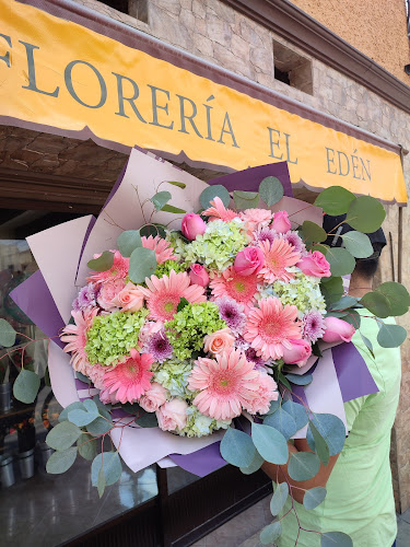 florerias en Tulancingo de Bravo baratas