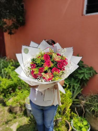 florerias en San Juan Bautista Tuxtepec baratas