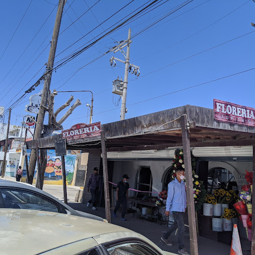 florerias en Rosarito (Playas de Rosarito) baratas