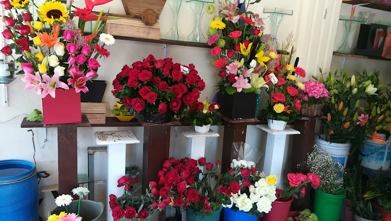 florerias en Tulancingo de Bravo baratas
