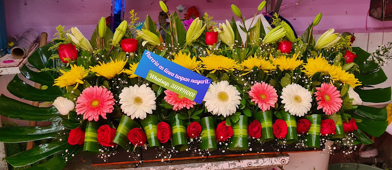 florerias en Tuxpan baratas