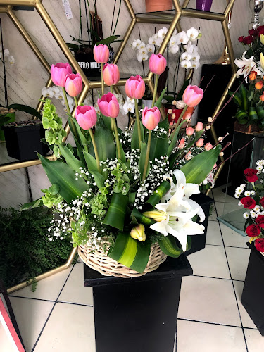 florerias en Zacatecas baratas
