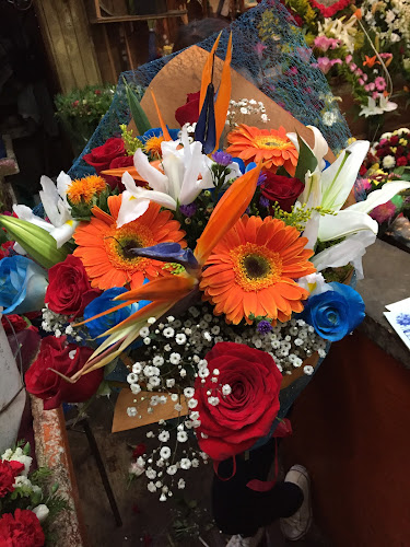 florerias en Pátzcuaro baratas