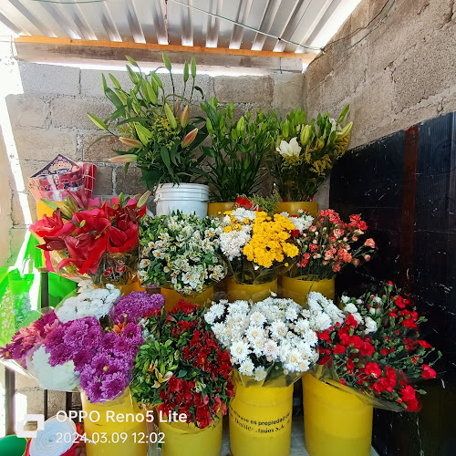 florerias en Tláhuac baratas