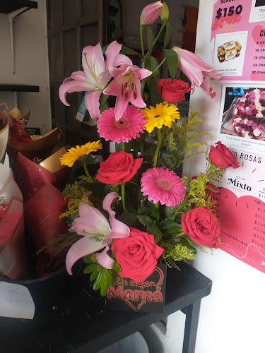 florerias en San Pedro Garza García baratas