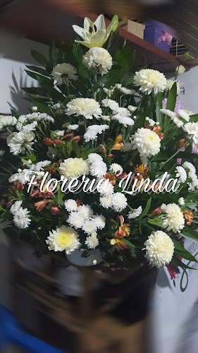 florerias en Morelia baratas