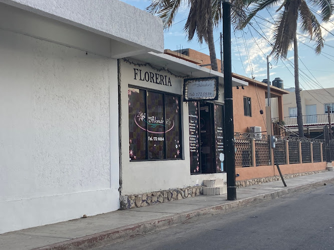 florerias en Cabo San Lucas baratas