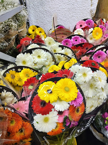 florerias en Mexicali baratas