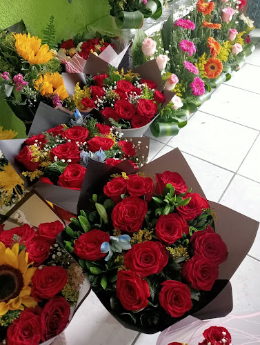 florerias en Tamaulipas baratas