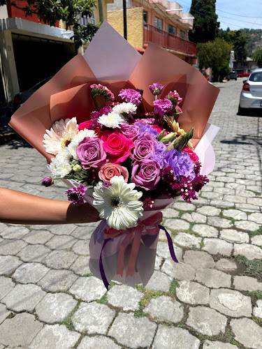 florerias en Tlaxcala baratas