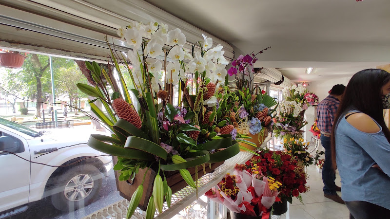 florerias en Metepec baratas