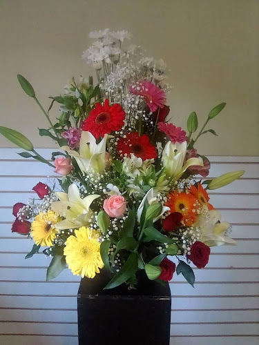 florerias en San Pedro Garza García baratas