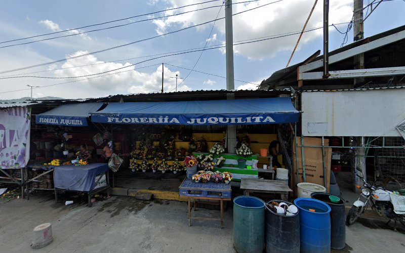 florerias en Guerrero baratas